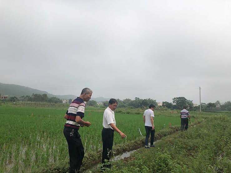 必发7790(中国区)电子集团-线上平台登录入口