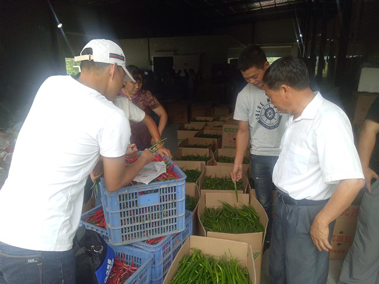 必发7790(中国区)电子集团-线上平台登录入口