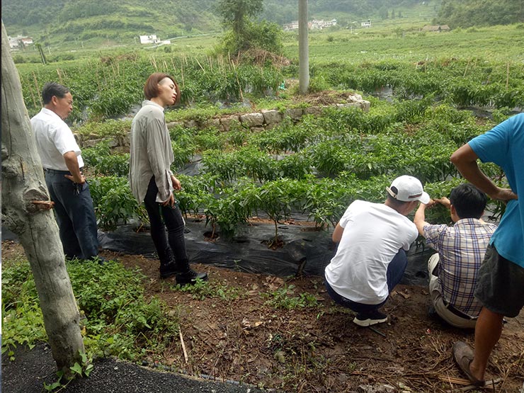 必发7790(中国区)电子集团-线上平台登录入口