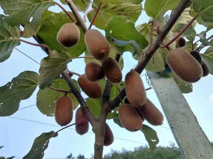 必发7790(中国区)电子集团-线上平台登录入口