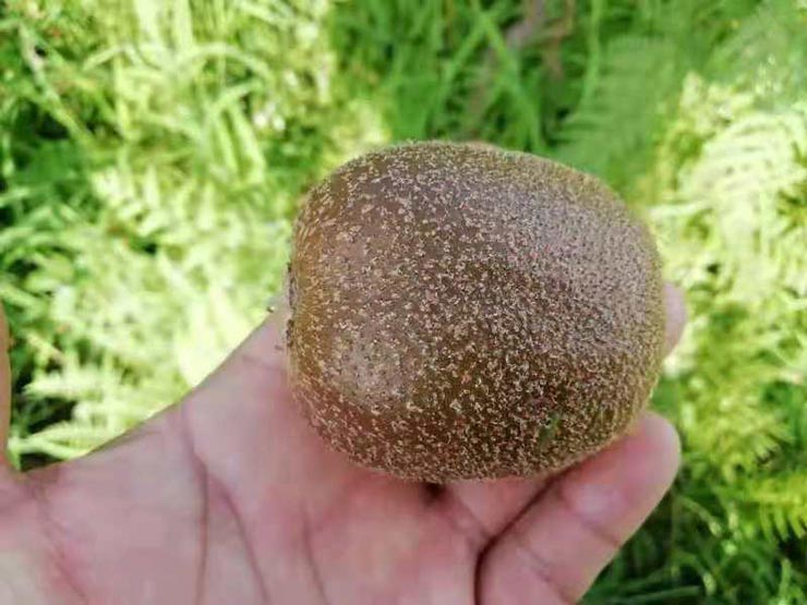 必发7790(中国区)电子集团-线上平台登录入口