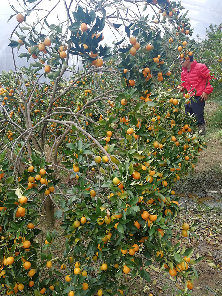 必发7790(中国区)电子集团-线上平台登录入口