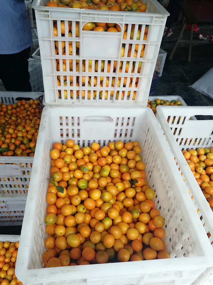 必发7790(中国区)电子集团-线上平台登录入口