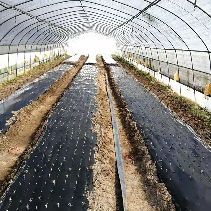 必发7790(中国区)电子集团-线上平台登录入口