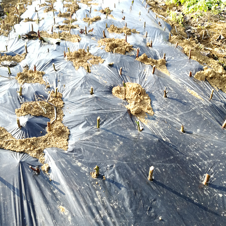 必发7790(中国区)电子集团-线上平台登录入口