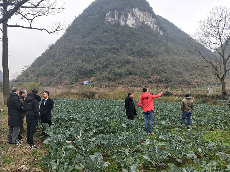 必发7790(中国区)电子集团-线上平台登录入口
