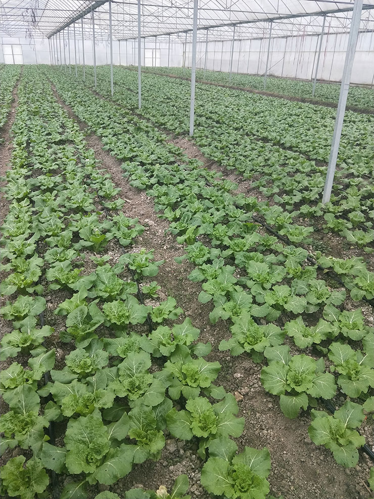 必发7790(中国区)电子集团-线上平台登录入口