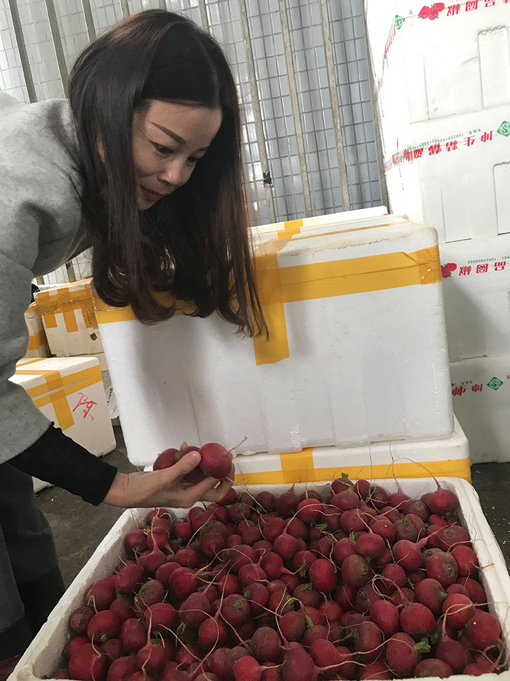 必发7790(中国区)电子集团-线上平台登录入口