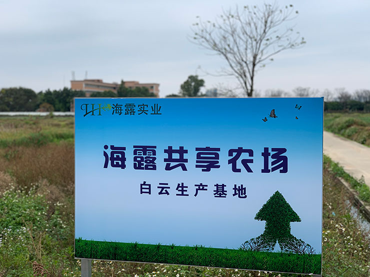 必发7790(中国区)电子集团-线上平台登录入口