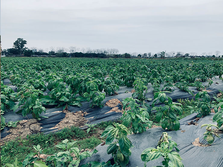 必发7790(中国区)电子集团-线上平台登录入口