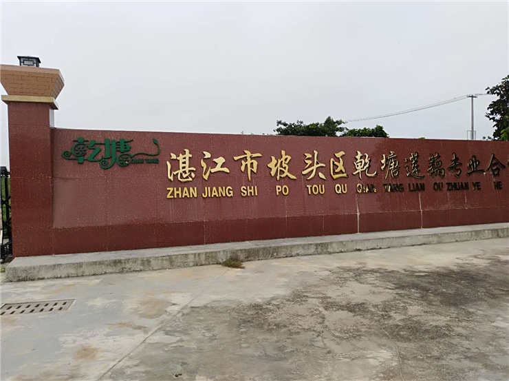 必发7790(中国区)电子集团-线上平台登录入口