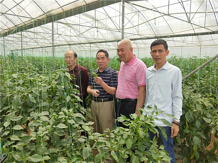 必发7790(中国区)电子集团-线上平台登录入口