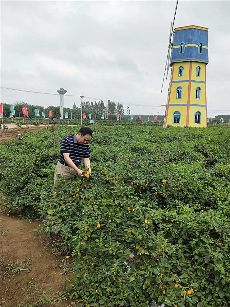 必发7790(中国区)电子集团-线上平台登录入口