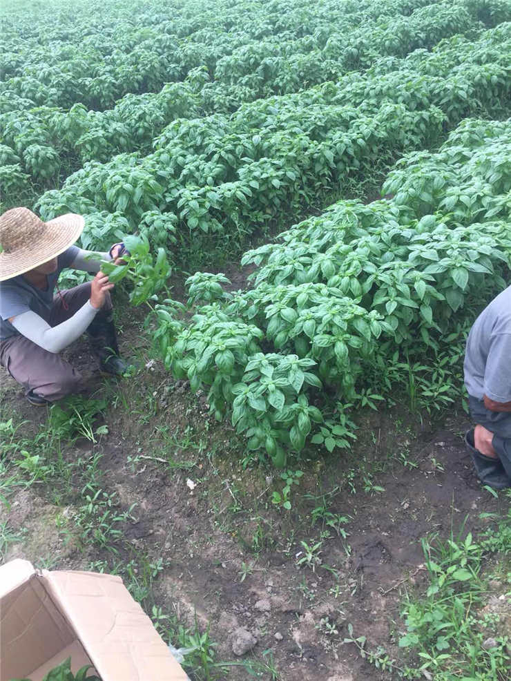 必发7790(中国区)电子集团-线上平台登录入口