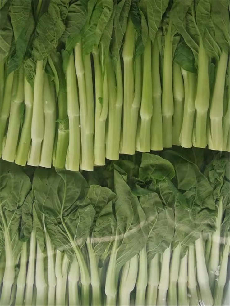 必发7790(中国区)电子集团-线上平台登录入口