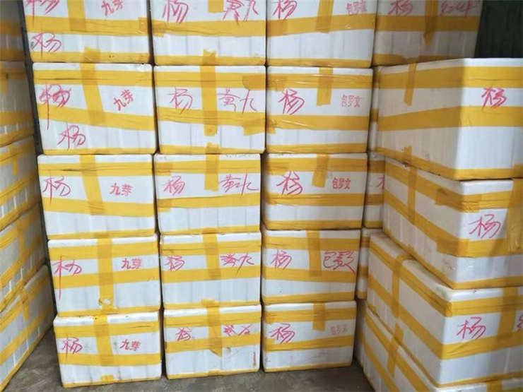 必发7790(中国区)电子集团-线上平台登录入口