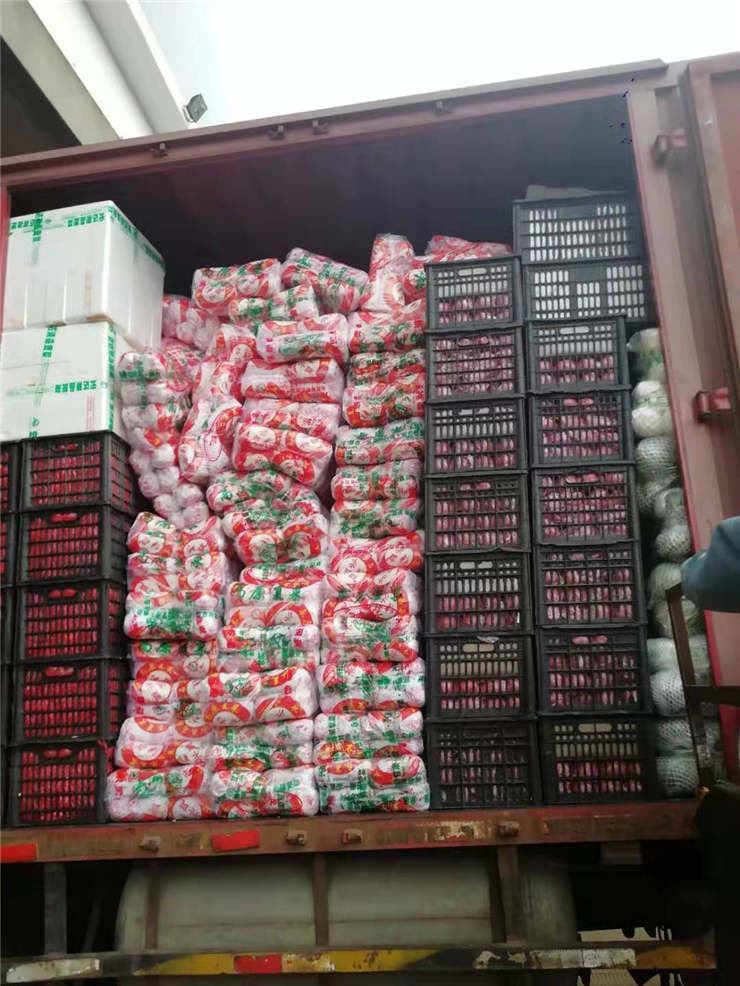 必发7790(中国区)电子集团-线上平台登录入口