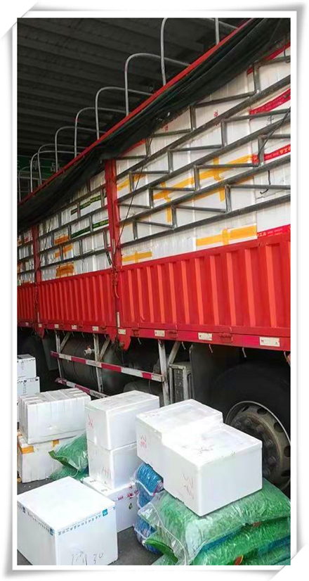 必发7790(中国区)电子集团-线上平台登录入口