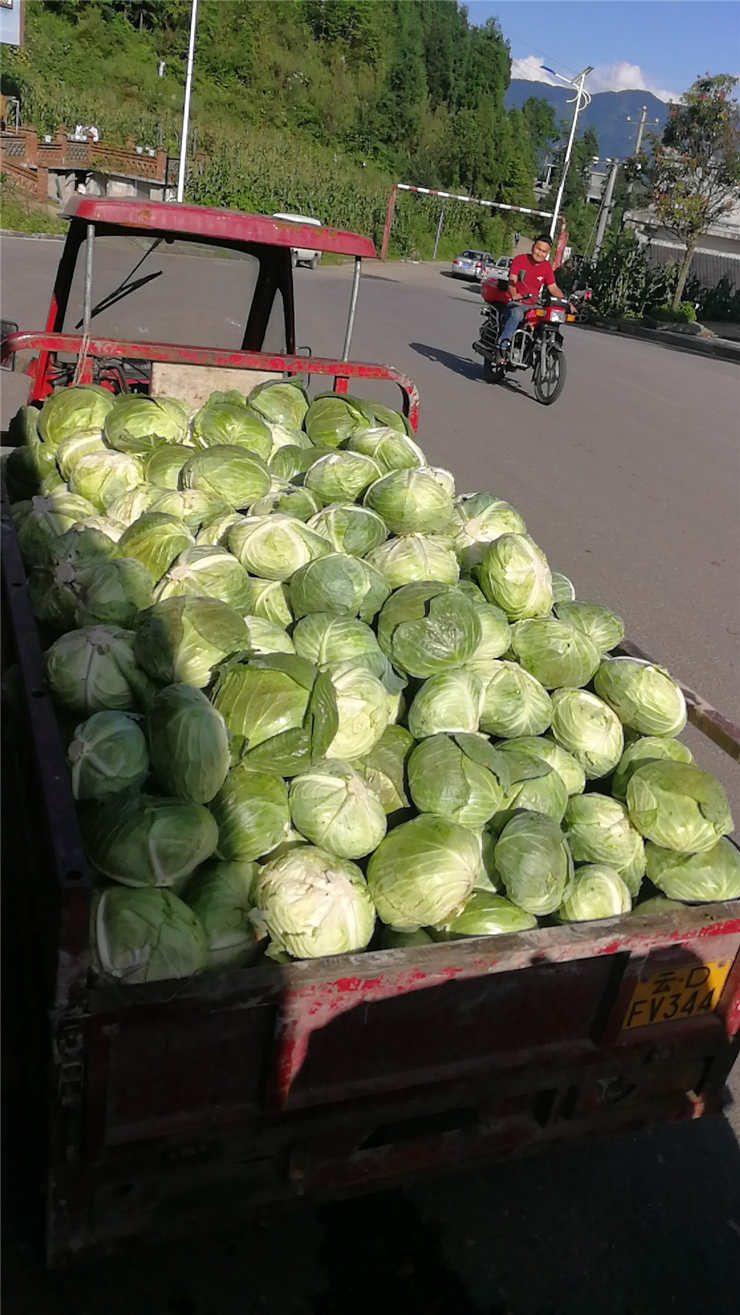 必发7790(中国区)电子集团-线上平台登录入口