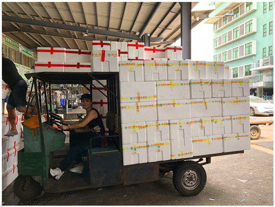 必发7790(中国区)电子集团-线上平台登录入口