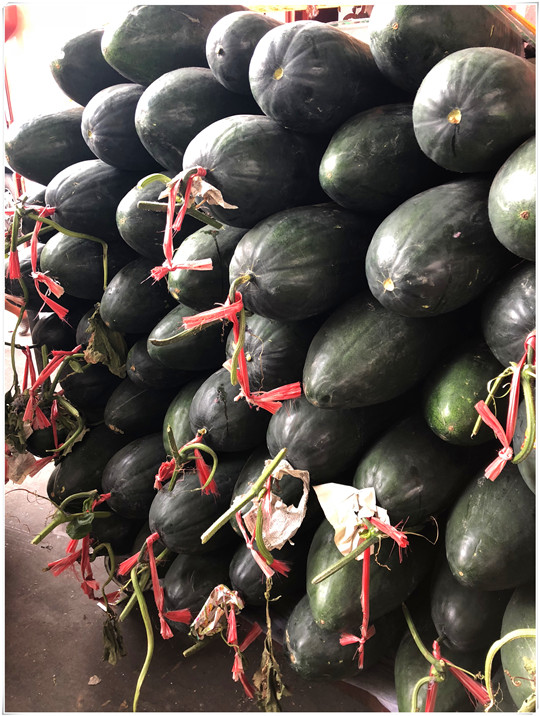 必发7790(中国区)电子集团-线上平台登录入口