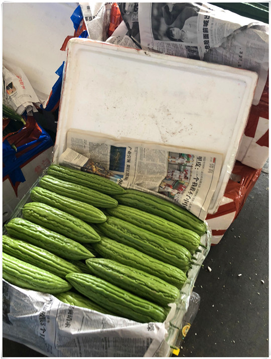 必发7790(中国区)电子集团-线上平台登录入口