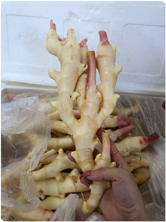 必发7790(中国区)电子集团-线上平台登录入口