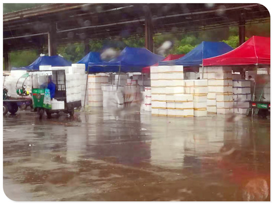 必发7790(中国区)电子集团-线上平台登录入口