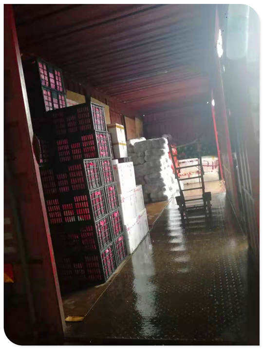 必发7790(中国区)电子集团-线上平台登录入口