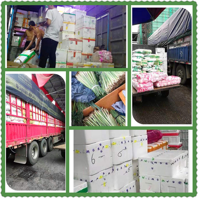 必发7790(中国区)电子集团-线上平台登录入口