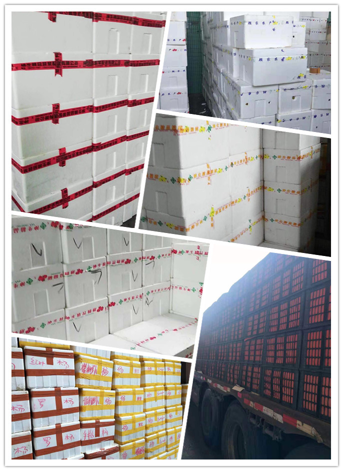 必发7790(中国区)电子集团-线上平台登录入口