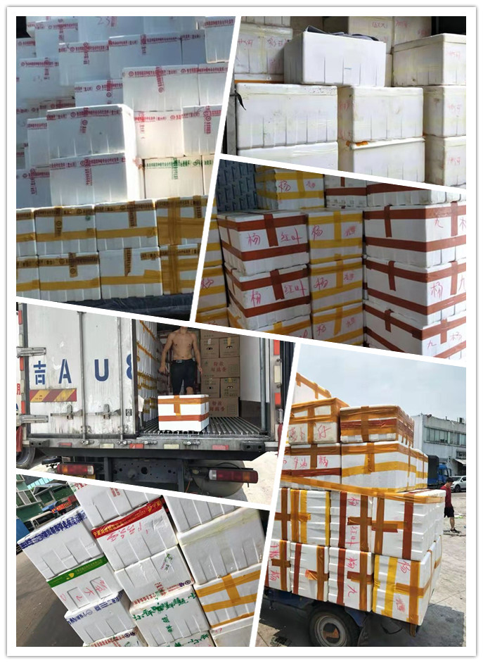 必发7790(中国区)电子集团-线上平台登录入口