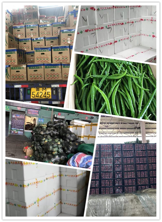 必发7790(中国区)电子集团-线上平台登录入口