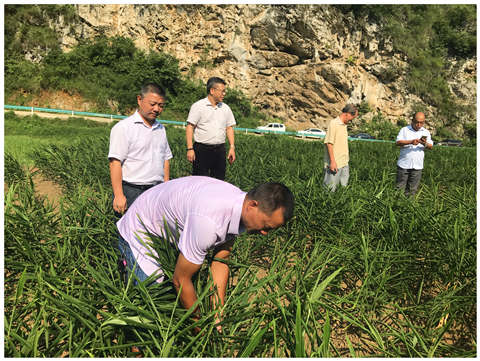 必发7790(中国区)电子集团-线上平台登录入口