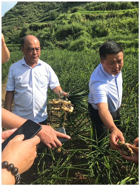 必发7790(中国区)电子集团-线上平台登录入口