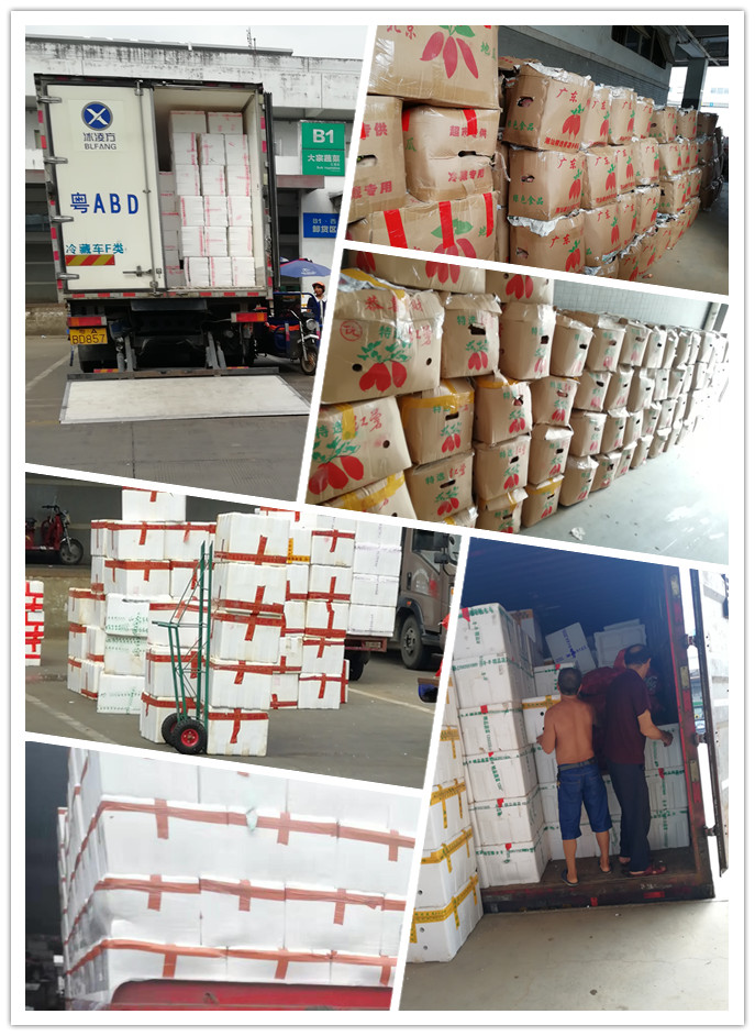 必发7790(中国区)电子集团-线上平台登录入口