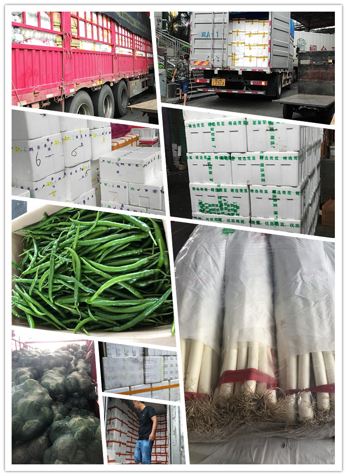 必发7790(中国区)电子集团-线上平台登录入口