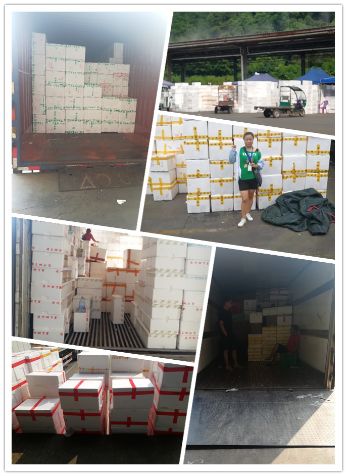 必发7790(中国区)电子集团-线上平台登录入口