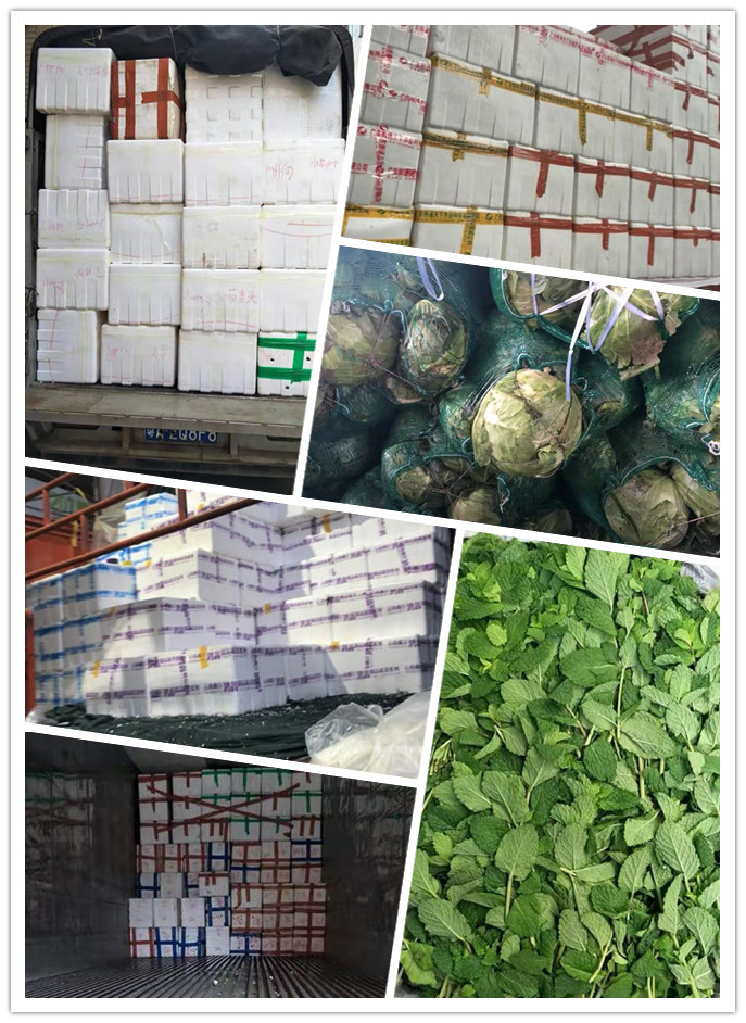 必发7790(中国区)电子集团-线上平台登录入口