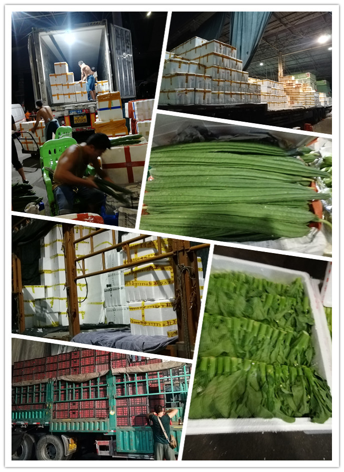 必发7790(中国区)电子集团-线上平台登录入口