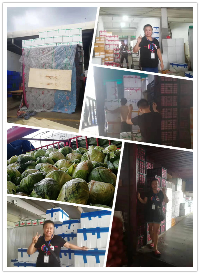 必发7790(中国区)电子集团-线上平台登录入口