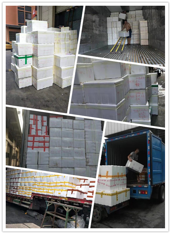 必发7790(中国区)电子集团-线上平台登录入口