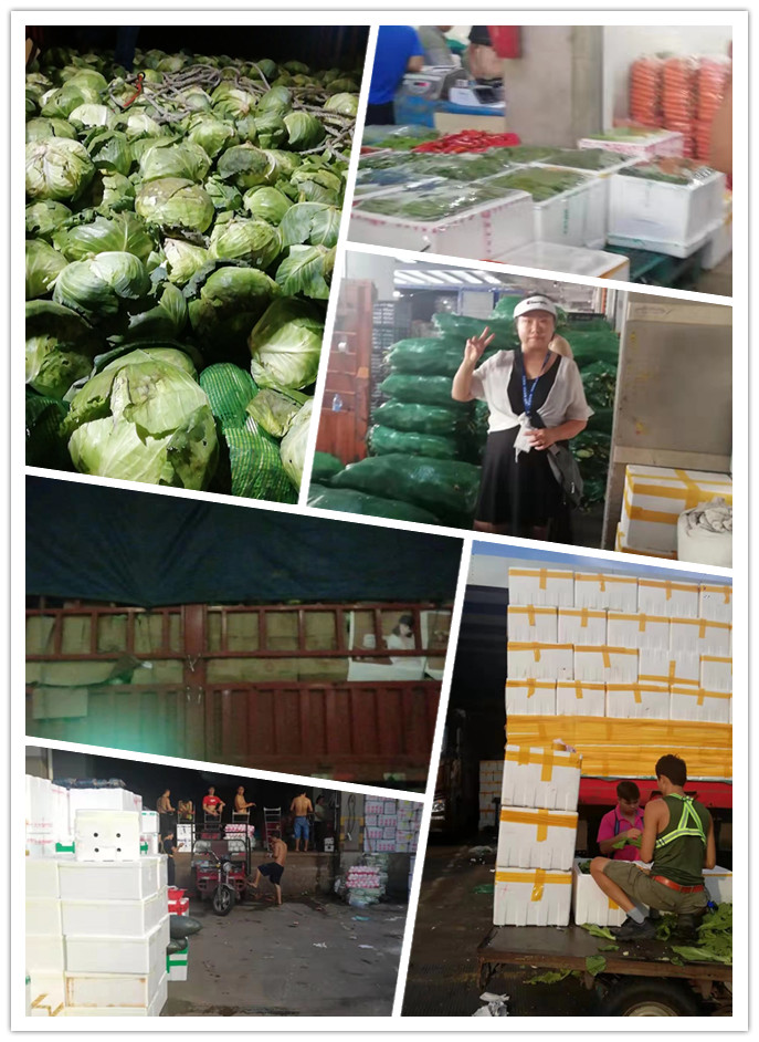 必发7790(中国区)电子集团-线上平台登录入口