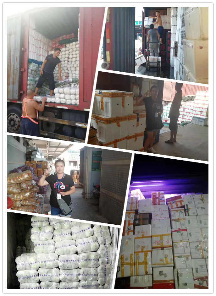 必发7790(中国区)电子集团-线上平台登录入口