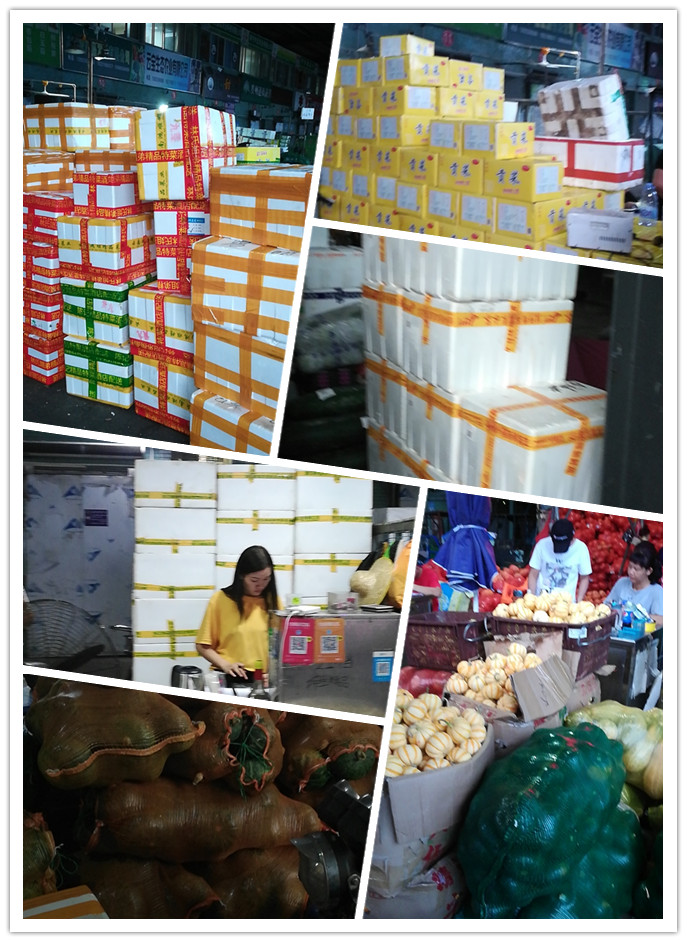 必发7790(中国区)电子集团-线上平台登录入口