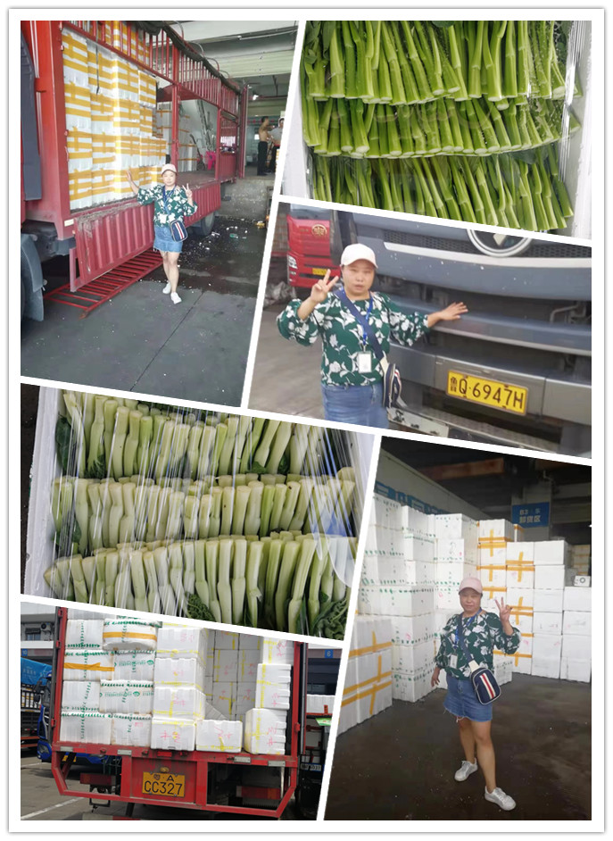 必发7790(中国区)电子集团-线上平台登录入口