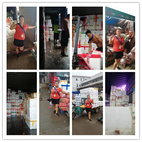 必发7790(中国区)电子集团-线上平台登录入口