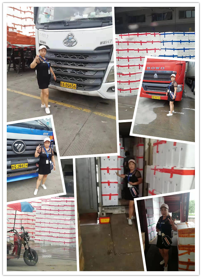 必发7790(中国区)电子集团-线上平台登录入口