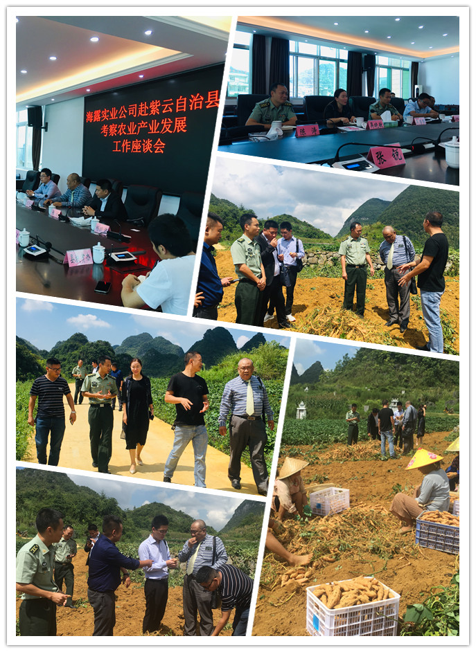 必发7790(中国区)电子集团-线上平台登录入口