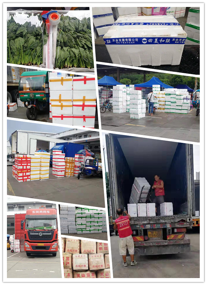 必发7790(中国区)电子集团-线上平台登录入口